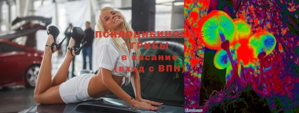 гидропоника Белокуриха