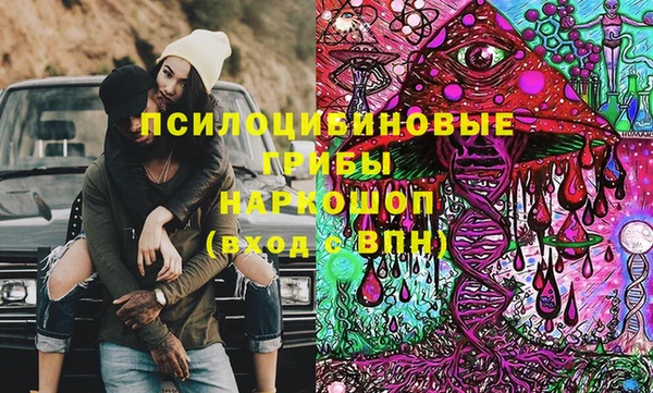 стаф Беломорск